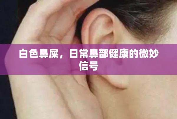 白色鼻屎，日常鼻部健康的微妙信號(hào)