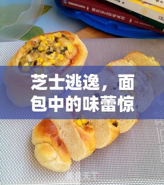 芝士逃逸，面包中的味蕾驚喜與應(yīng)對策略