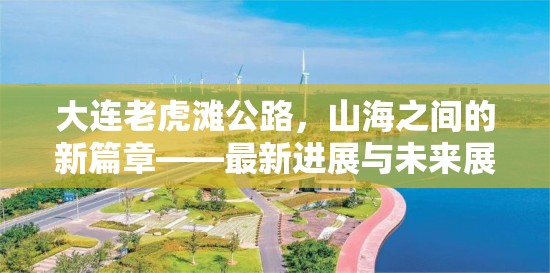 大連老虎灘公路，山海之間的新篇章——最新進展與未來展望