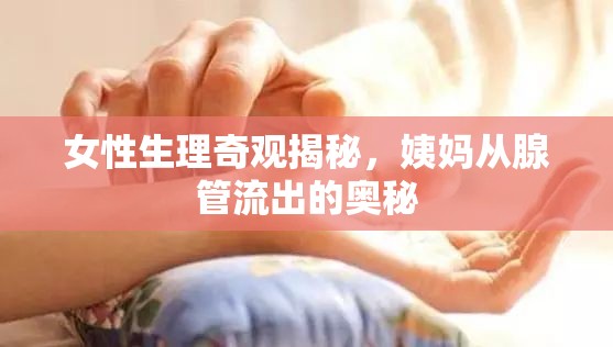 女性生理奇觀揭秘，姨媽從腺管流出的奧秘