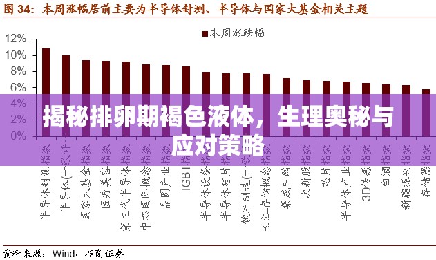 揭秘排卵期褐色液體，生理奧秘與應(yīng)對策略