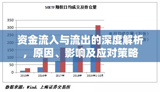 資金流入與流出的深度解析，原因、影響及應(yīng)對策略