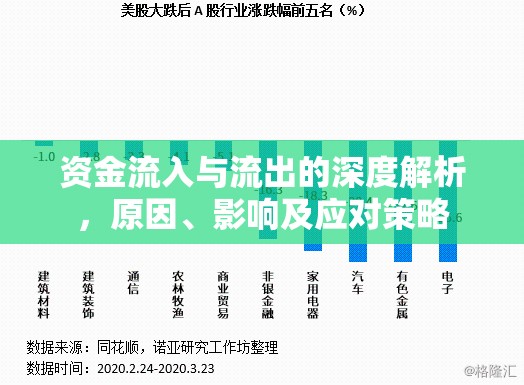 資金流入與流出的深度解析，原因、影響及應(yīng)對策略