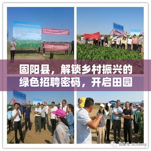 固陽縣，解鎖鄉(xiāng)村振興的綠色招聘密碼，開啟田園新篇章