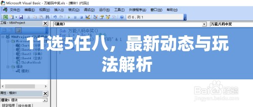 11選5任八，最新動態(tài)與玩法解析