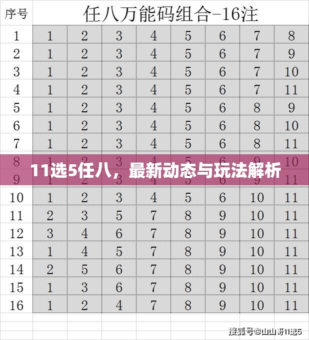 11選5任八，最新動態(tài)與玩法解析