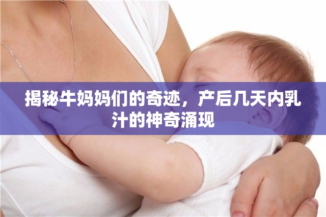 揭秘牛媽媽們的奇跡，產(chǎn)后幾天內(nèi)乳汁的神奇涌現(xiàn)