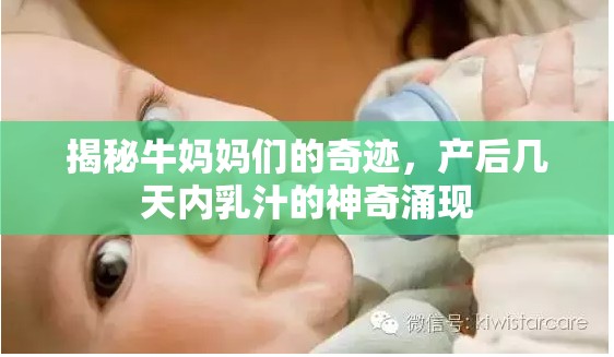 揭秘牛媽媽們的奇跡，產(chǎn)后幾天內(nèi)乳汁的神奇涌現(xiàn)