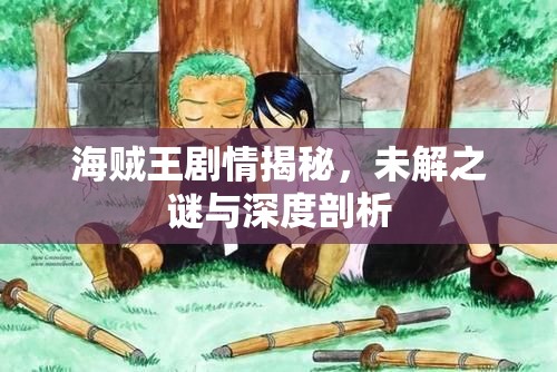 海賊王劇情揭秘，未解之謎與深度剖析
