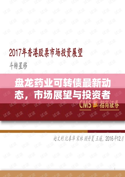 盤龍藥業(yè)可轉(zhuǎn)債最新動態(tài)，市場展望與投資者關(guān)注點(diǎn)深度解析