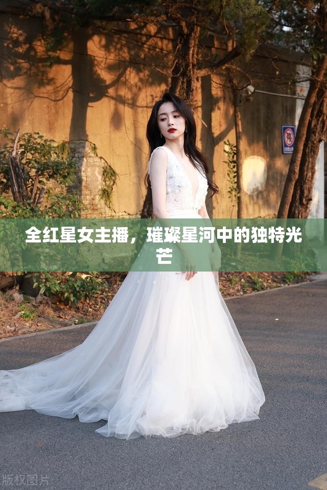 全紅星女主播，璀璨星河中的獨(dú)特光芒