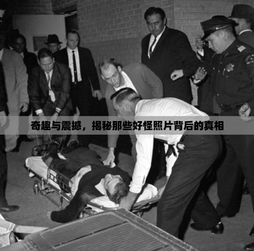奇趣與震撼，揭秘那些好怪照片背后的真相