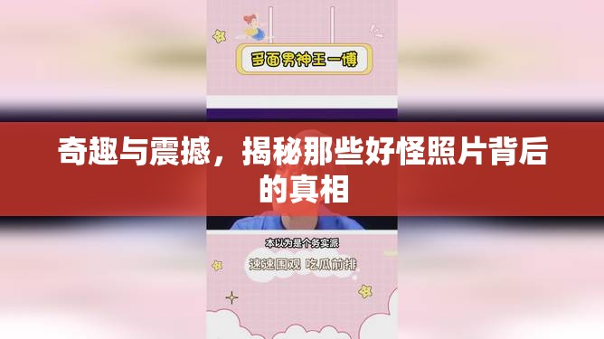 奇趣與震撼，揭秘那些好怪照片背后的真相