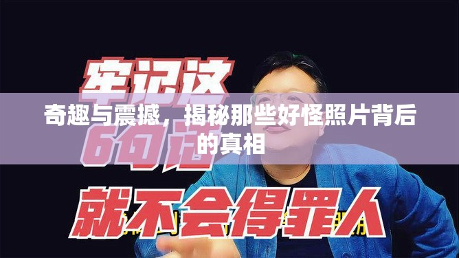 奇趣與震撼，揭秘那些好怪照片背后的真相