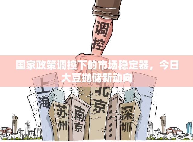 國家政策調(diào)控下的市場穩(wěn)定器，今日大豆拋儲新動向