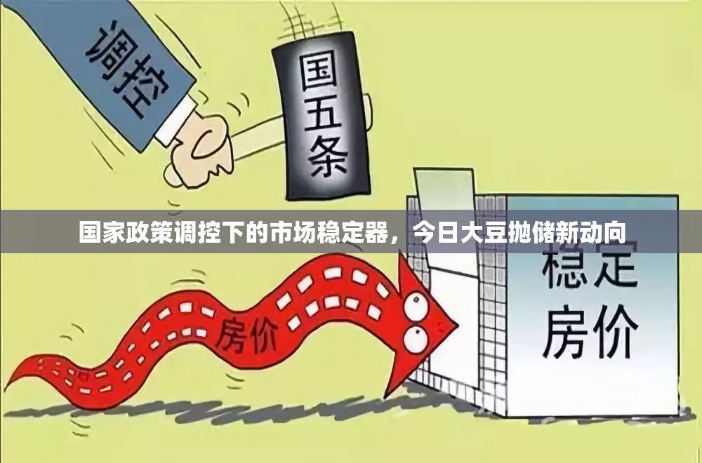 國家政策調(diào)控下的市場穩(wěn)定器，今日大豆拋儲新動向