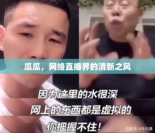 瓜瓜，網(wǎng)絡(luò)直播界的清新之風(fēng)