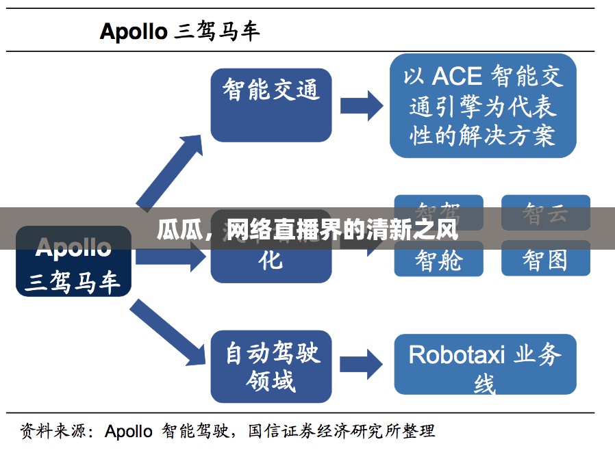 瓜瓜，網(wǎng)絡(luò)直播界的清新之風(fēng)