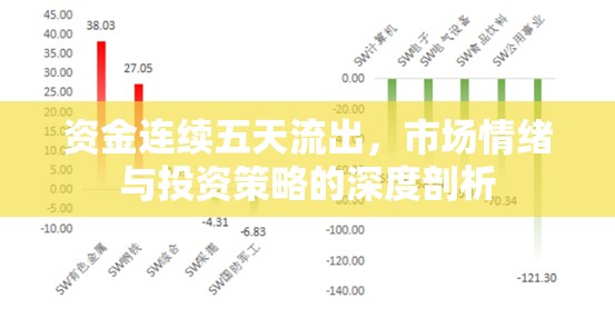 資金連續(xù)五天流出，市場情緒與投資策略的深度剖析
