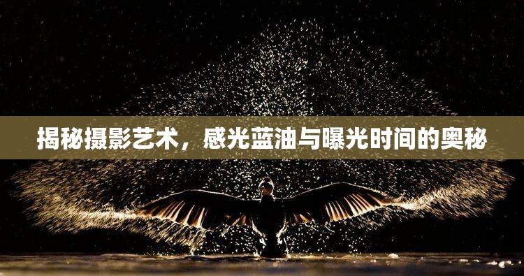 揭秘?cái)z影藝術(shù)，感光藍(lán)油與曝光時(shí)間的奧秘