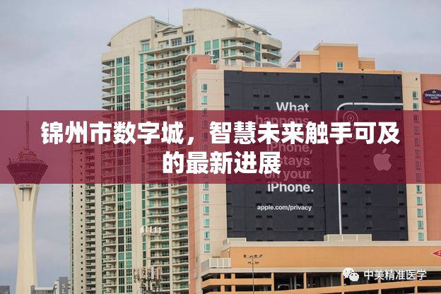 錦州市數(shù)字城，智慧未來(lái)觸手可及的最新進(jìn)展