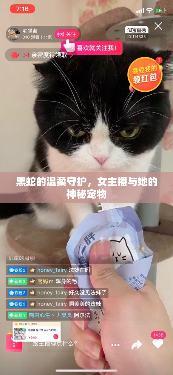 黑蛇的溫柔守護，女主播與她的神秘寵物