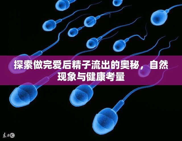 探索做完愛后精子流出的奧秘，自然現(xiàn)象與健康考量