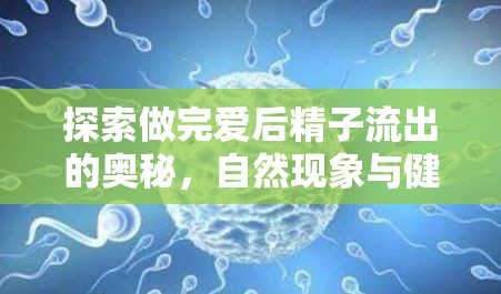探索做完愛后精子流出的奧秘，自然現(xiàn)象與健康考量