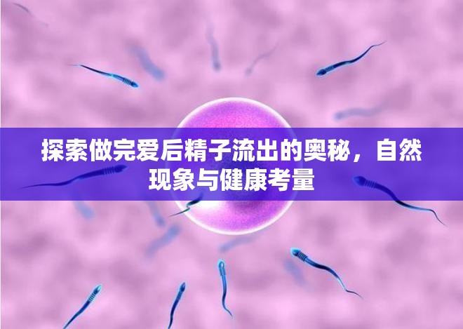 探索做完愛后精子流出的奧秘，自然現(xiàn)象與健康考量
