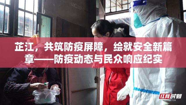 芷江，共筑防疫屏障，繪就安全新篇章——防疫動態(tài)與民眾響應(yīng)紀實