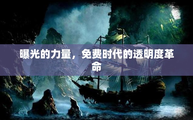 曝光的力量，免費(fèi)時(shí)代的透明度革命