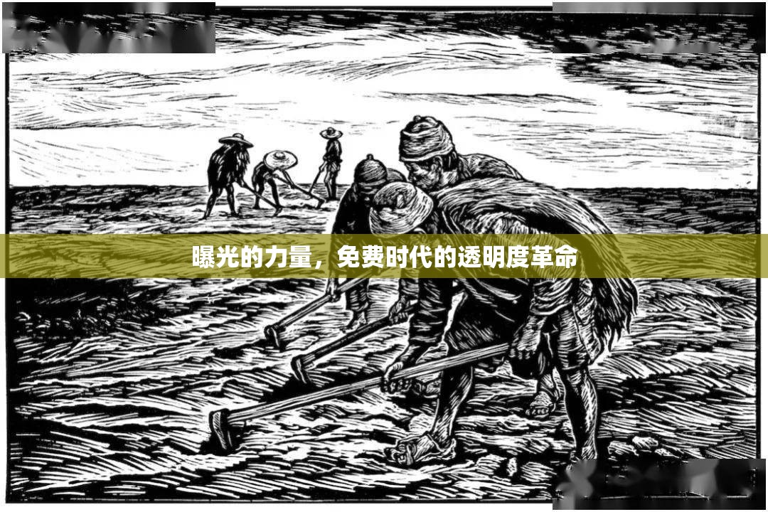曝光的力量，免費(fèi)時(shí)代的透明度革命