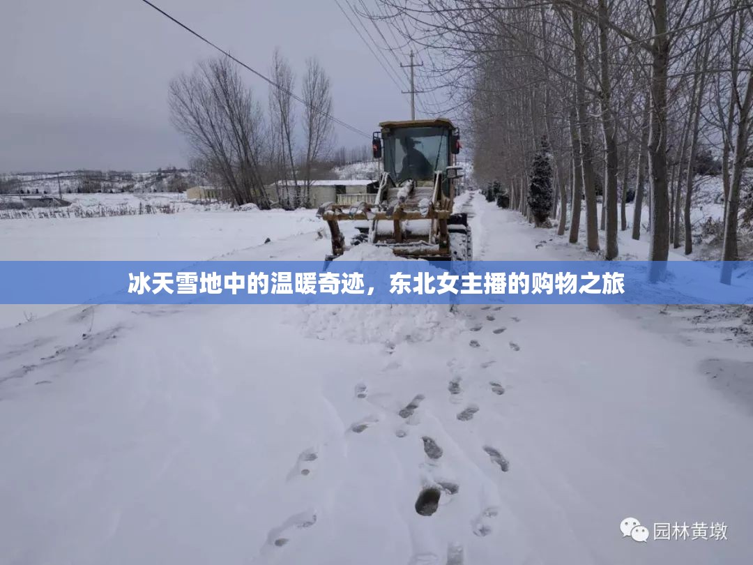 冰天雪地中的溫暖奇跡，東北女主播的購(gòu)物之旅