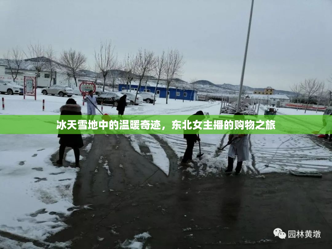 冰天雪地中的溫暖奇跡，東北女主播的購(gòu)物之旅