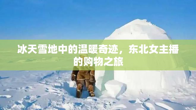 冰天雪地中的溫暖奇跡，東北女主播的購(gòu)物之旅
