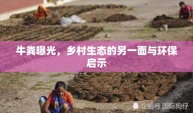 牛糞曝光，鄉(xiāng)村生態(tài)的另一面與環(huán)保啟示