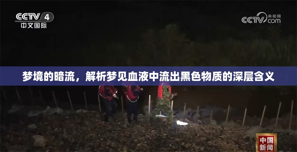 夢(mèng)境的暗流，解析夢(mèng)見血液中流出黑色物質(zhì)的深層含義