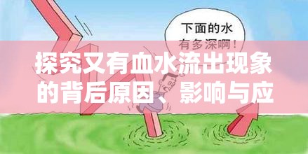 探究又有血水流出現(xiàn)象的背后原因、影響與應(yīng)對策略