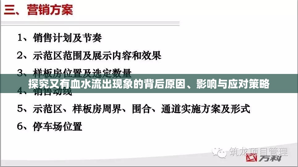 探究又有血水流出現(xiàn)象的背后原因、影響與應(yīng)對策略