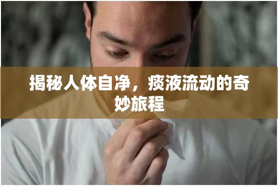 揭秘人體自凈，痰液流動的奇妙旅程