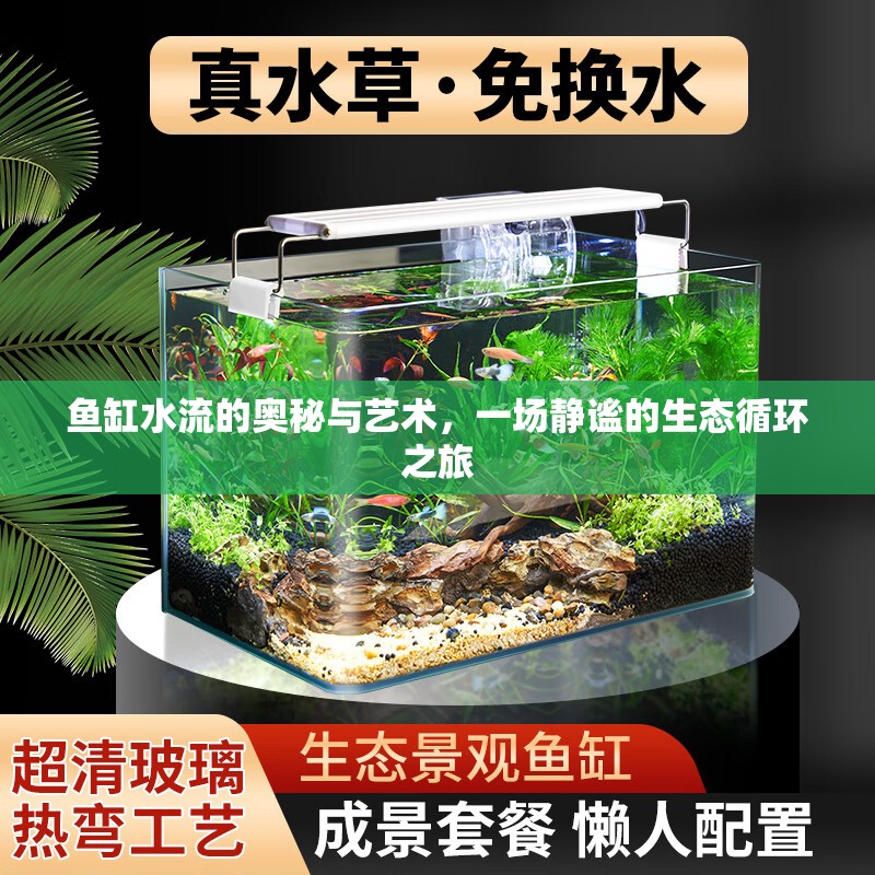 魚缸水流的奧秘與藝術(shù)，一場(chǎng)靜謐的生態(tài)循環(huán)之旅