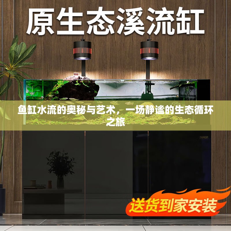 魚缸水流的奧秘與藝術(shù)，一場(chǎng)靜謐的生態(tài)循環(huán)之旅