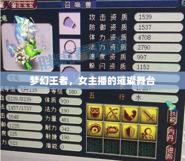 夢(mèng)幻王者，女主播的璀璨舞臺(tái)