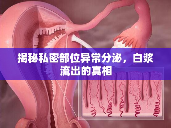 揭秘私密部位異常分泌，白漿流出的真相