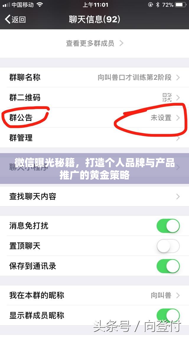 微信曝光秘籍，打造個(gè)人品牌與產(chǎn)品推廣的黃金策略