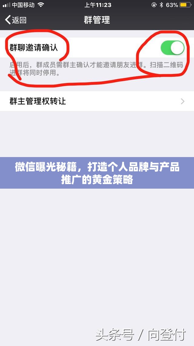 微信曝光秘籍，打造個(gè)人品牌與產(chǎn)品推廣的黃金策略
