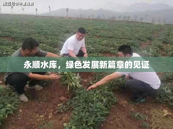 永順?biāo)畮?kù)，綠色發(fā)展新篇章的見(jiàn)證