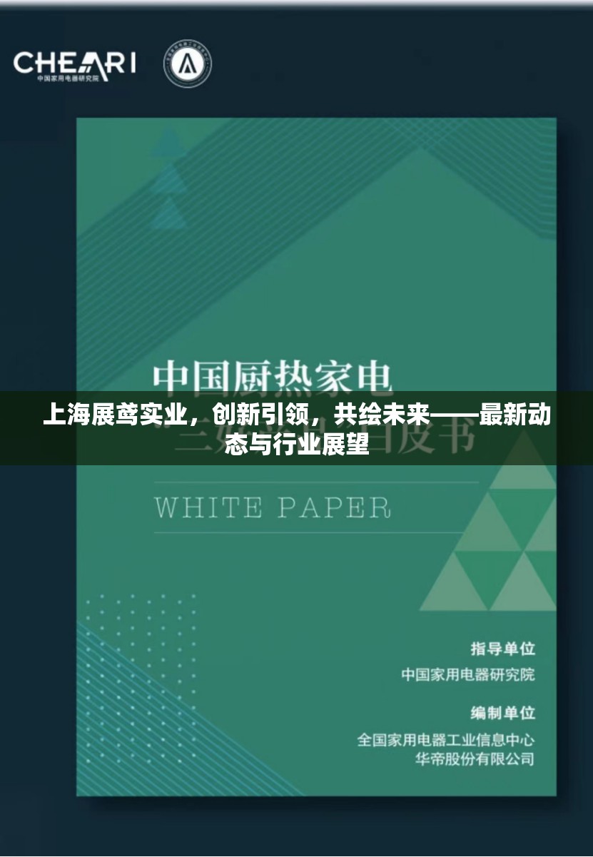 上海展鳶實(shí)業(yè)，創(chuàng)新引領(lǐng)，共繪未來——最新動(dòng)態(tài)與行業(yè)展望
