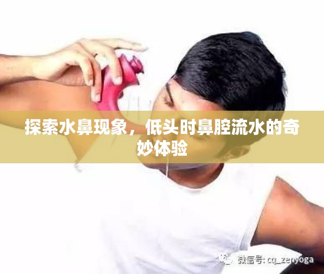 探索水鼻現(xiàn)象，低頭時(shí)鼻腔流水的奇妙體驗(yàn)