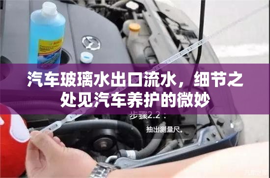 汽車玻璃水出口流水，細節(jié)之處見汽車養(yǎng)護的微妙